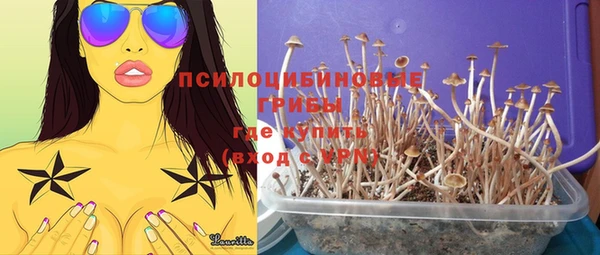 герыч Вязьма