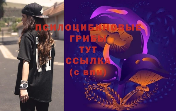 герыч Вязьма