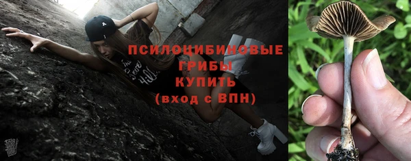 a pvp Вязники