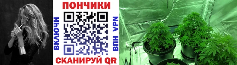 Каннабис SATIVA & INDICA  как найти наркотики  Горбатов 